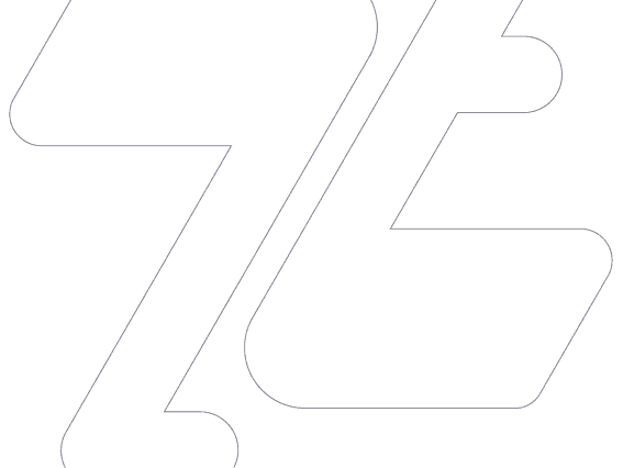 ZT Watermark